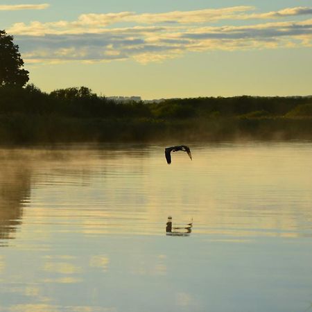 Domek Nad Odra グリフィノ エクステリア 写真
